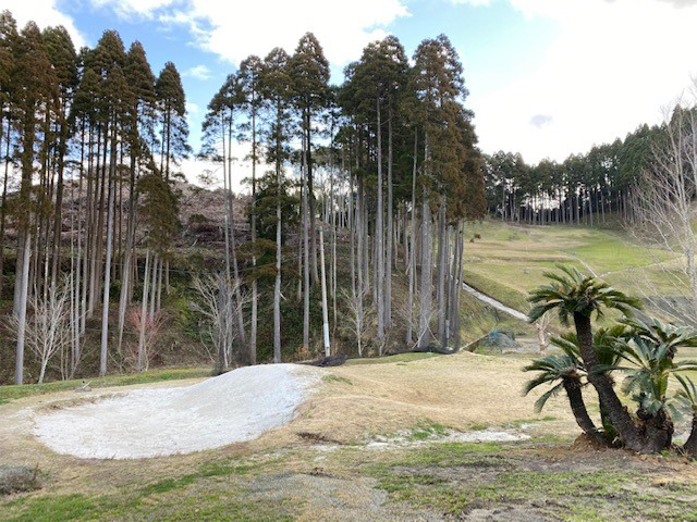 さくらゴルフアリーナ